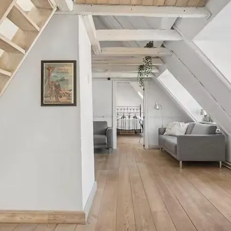 Rustic Loft In The Historic Centre Копенгаген